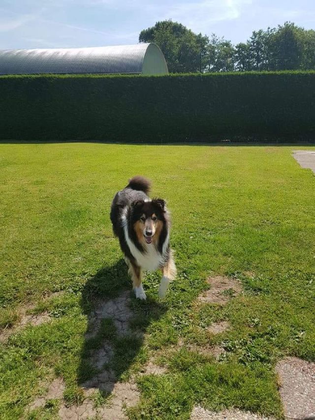 Lekker spelen op het grasveld